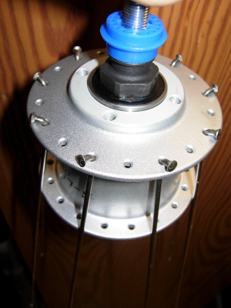 In jedes 2. Loch oben in die Nabe eine Speiche fallen lassen