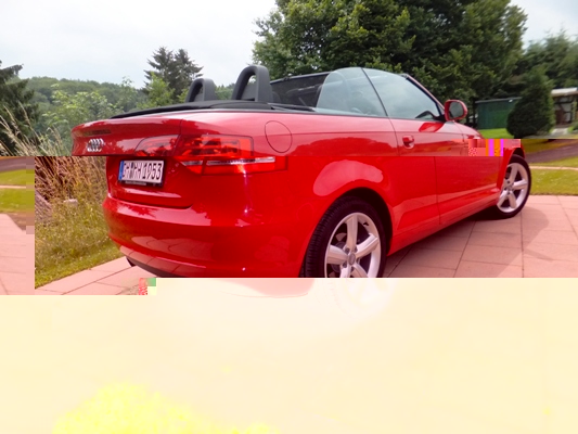 DSCF1294a.JPG