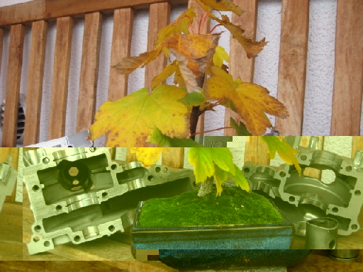 Herbst mal klein betrachtet.jpg