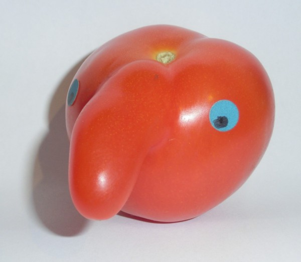 Tomate - 02.JPG