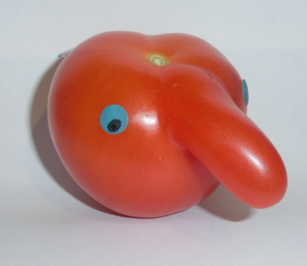 Tomate - 033.JPG