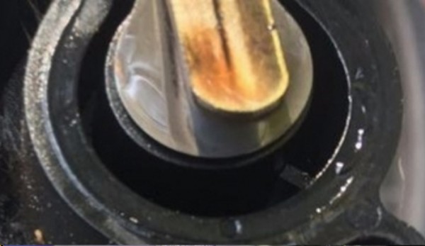 Membrane Indienf.jpg