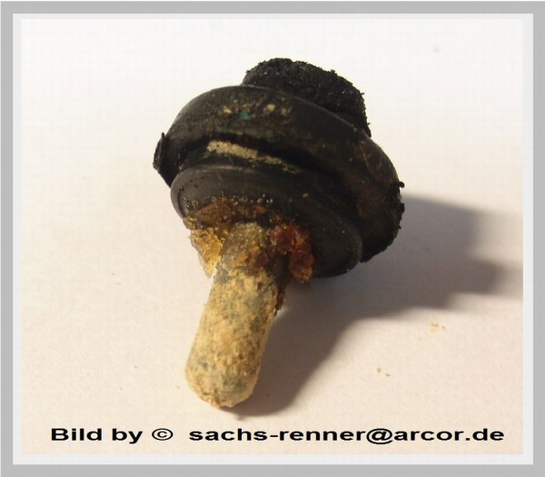 03 untersuchung 9.2.11.jpg