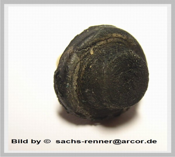 04 untersuchung 9.2.11.jpg