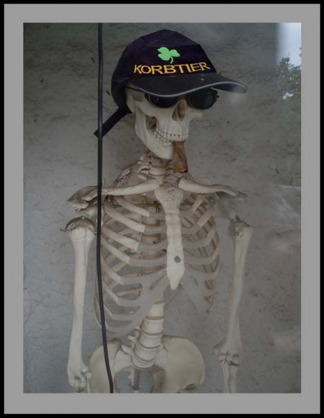 korbtier-8.JPG