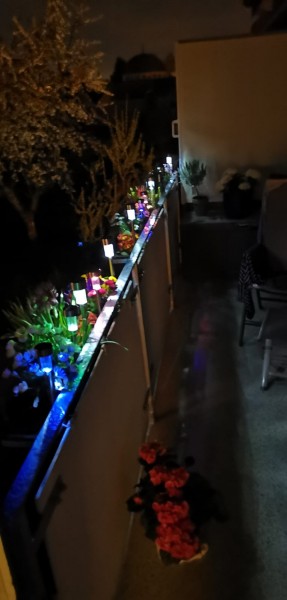 Lampen.jpeg
