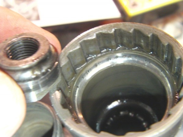 IMAG0233-k.jpg