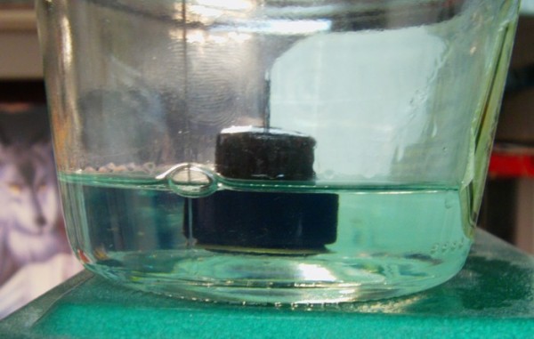 20110808-schwimmer.jpg