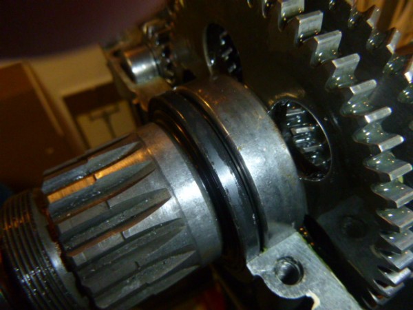 P1020059.JPG