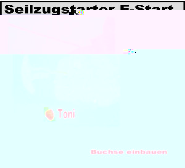 seilzugstarter   1 von 2.jpg