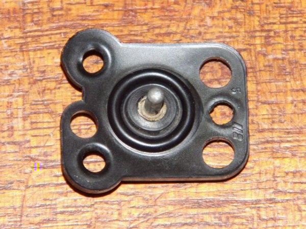 DSCI2903.jpg