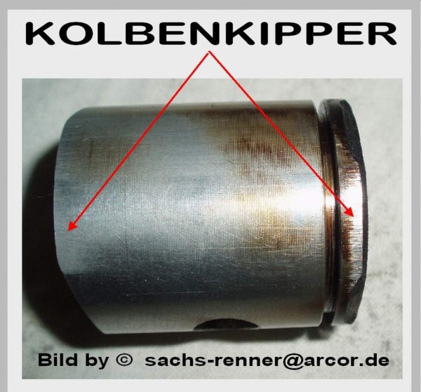 001     kIPPER.JPG