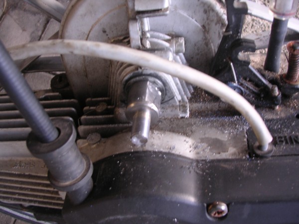 DSCN2831.JPG