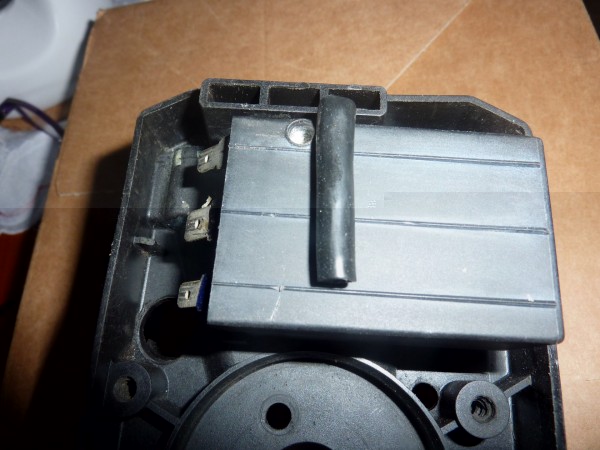 xmodul festP1040843.JPG