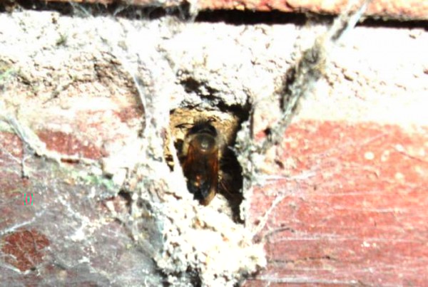 BILD0036a.JPG