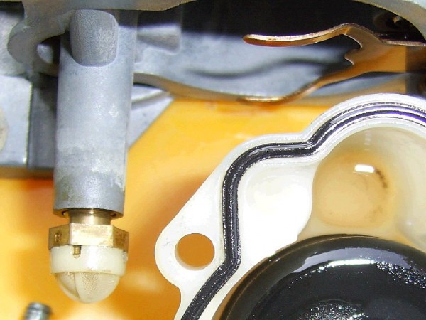 Image1.jpg